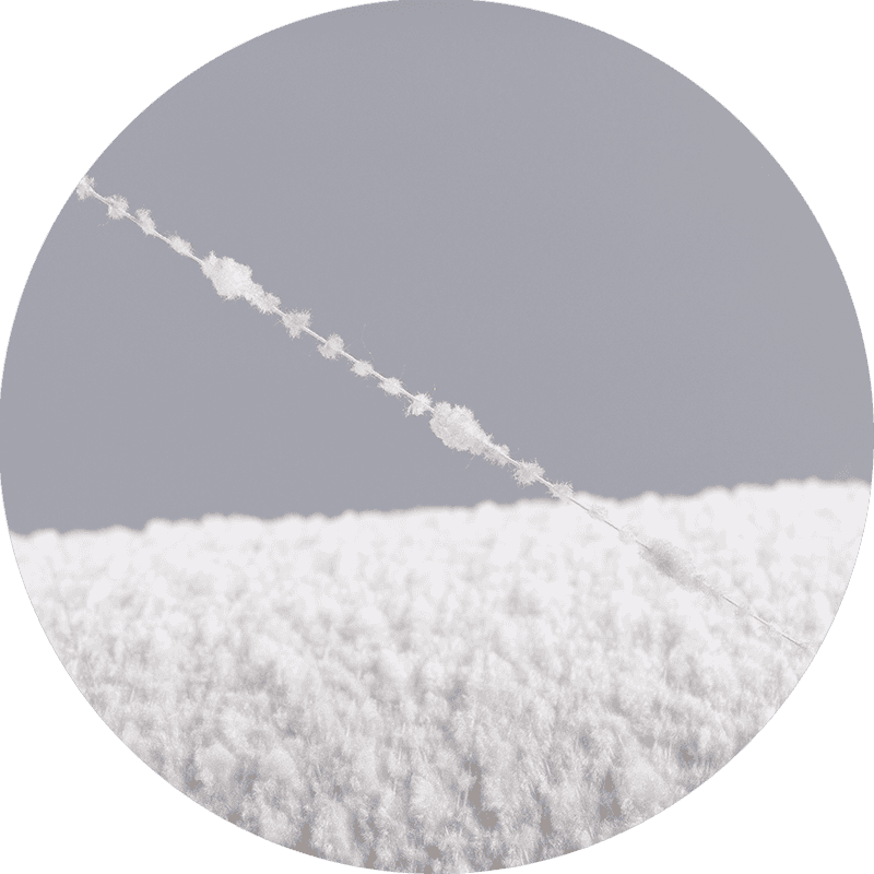 Benang Chrysanthemum